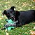 Brinquedo para Cães Kong Ballistic Alligator Medium/Large (LAG16) - Imagem 3