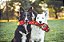 Brinquedo para Cães Outward Hound Tough Seamz Snake Red XL (32138) - Imagem 5