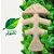 Brinquedo para Cães Benebone Green Fishbone Medium - Imagem 2