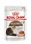 Ração Úmida para Gatos Royal Canin Sache Ageing +12 85g - Imagem 1
