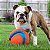 Brinquedo para Cães Chuckit Bola Kick Fetch Large - Imagem 7