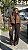Casaco Trench coat court Clara - Imagem 6