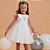 Vestido Celebration Petit Cherie - 23292 - Imagem 1