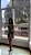 Shorts Fit Oliva - Imagem 5