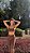 Top Slim Marrom Aesthetic - Imagem 1