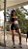 Shorts Fit Preto - Imagem 2