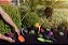 Conjunto Para Jardim 3 Pçs Em Plástico Ancinho Pá Tramontina - Imagem 4