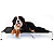 Cama Suspensa Elevada Pet Cães 120x90cm Tamanho XL Até 90kg Dogets - Imagem 1