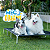 Cama Cachorros Pet Tamanho XL Suspensa Mec G - Imagem 11