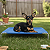 Cama Suspensa Elevada Pet Cachorro 60x40cm Tamanho P Dogets - Imagem 8