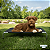 Cama Suspensa Elevada Pet Cachorro 75x50cm Tamanho M Dogets - Imagem 8