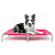 Cama Suspensa Elevada Pet Cachorro 90x60cm Tamanho G Dogets - Imagem 3