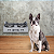Comedouro de Cachorro Pet Wall Aço Inox 750 Ml Mec G - Imagem 2