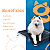 Cama Pet Cachorro Caminha Rampa Aluminio Tela PVC Mec G Pet - Imagem 6