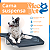 Cama Pet Cachorro Caminha Rampa Aluminio Tela PVC Mec G Pet - Imagem 2