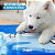 Tapete Gelado Pet Refrescante 65x50cm Gato Cachorro FreskoGets - Imagem 5