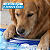 Tapete Gelado Pet Refrescante 110x70 Cachorro Gato FreskoGets - Imagem 5