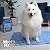 Tapete Gelado Pet Refrescante 110x70 Cachorro Gato Mec G Pet - Imagem 8