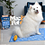 Tapete Gelado Pet Refrescante 110x70 Cachorro Gato Mec G Pet - Imagem 9