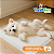 Tapete Higiênico Pet 50 Unidade 60x60 Absorvente Descartável TapetEco Mec G Pet - Imagem 4