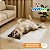 Tapete Higiênico Cachorro 30un 90x60 Absorvente Descartável - Imagem 4