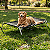 Cama Para Cachorro Suspensa Elevada Pet Grande 90x60 Até50kg - Imagem 8