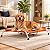 Cama Para Cachorro Suspensa Elevada Pet Grande 90x60 Até50kg Nice bed Cama de Cachorro - Imagem 1