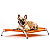 Cama Para Cachorro Médio Pet Suspensa Elevada 75x50 Até 35kg - Imagem 13