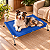 Cama Para Cachorro Médio Pet Suspensa Elevada 75x50 Até 35kg - Imagem 12