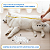Cama Suspensa Respirável GG Cachorro Grande Lavável Até 70kg - Imagem 17