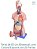 TORSO BISSEXUAL 85 CM 25 PARTES - Imagem 1