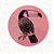 Bottom Animais - Imagem 9