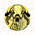 Bottom Animais - Imagem 5