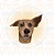 Bottom Animais - Imagem 12