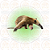 Bottom Animais - Imagem 19