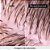 Shampoo Loreal Scalp Advanced Anti-Gras Oiliness - 300ml - Imagem 4