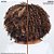 Redken All Soft Mega Curls Condicionador 300 ml - Imagem 5