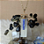 Pingente Selenita e Cianita Azul  Dourado - Imagem 1