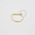 NR33 D Ring Banho Ouro 18k - Imagem 1