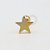 PVD33 Microbell Estrela aço PVD Gold - Imagem 1