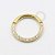 TN301 Segmento Frontal Cravejado Titânio PVD Gold - Imagem 1