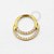 TN205 Segmento CZ Double Line Titânio PVD Gold  (OUTLET) - Imagem 1