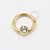 TN295 Segmento Zirconia Flat Titânio PVD Gold - Imagem 1