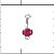TN792 [PRÉ CADASTRO] Navel Piercing Zircônia Ruby Titânio - Imagem 1