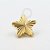 TN1048 Topo Estrela Texturizada Titânio PVD Gold - Imagem 1