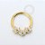 TN1069 Segmento 3 Flores Titânio PVD Gold - Imagem 1