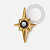 TN2086 Topo Estrela Dalva Titânio PVD Gold - Imagem 2
