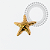 TN2157 Topo Estrela do Mar Push Pin Titânio PVD Gold - Imagem 1
