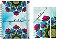Kit Agenda Permanente Com Caixa Box Porta Joias Maquiagem Mandalas Coloridas Coloricasa - Imagem 6