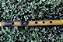 Flauta tipo Bansuri indiano, Bb 432hz - Imagem 5